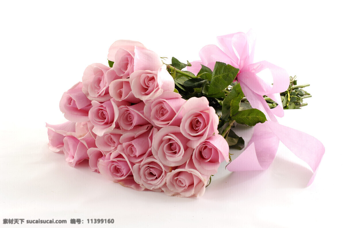粉色 玫瑰 花束 植物 鲜花 新鲜 美丽 花朵 包装 精美 粉色玫瑰 浪漫 温馨 花草树木 生物世界