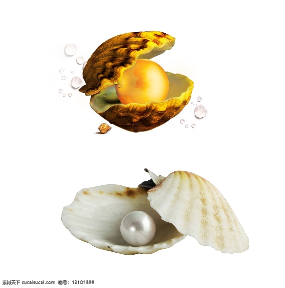 珍珠贝壳 贝壳里的珍珠 珍珠素材 贝壳珍珠 海贝壳 天然珍珠 纯天然珍珠 海边珍珠 沙滩上的贝壳 珍珠 贝壳 珍珠纤维