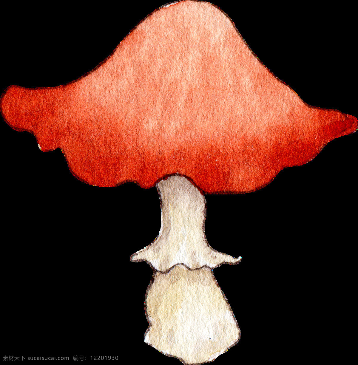 食用 蘑菇 透明 装饰 抠图专用 设计素材