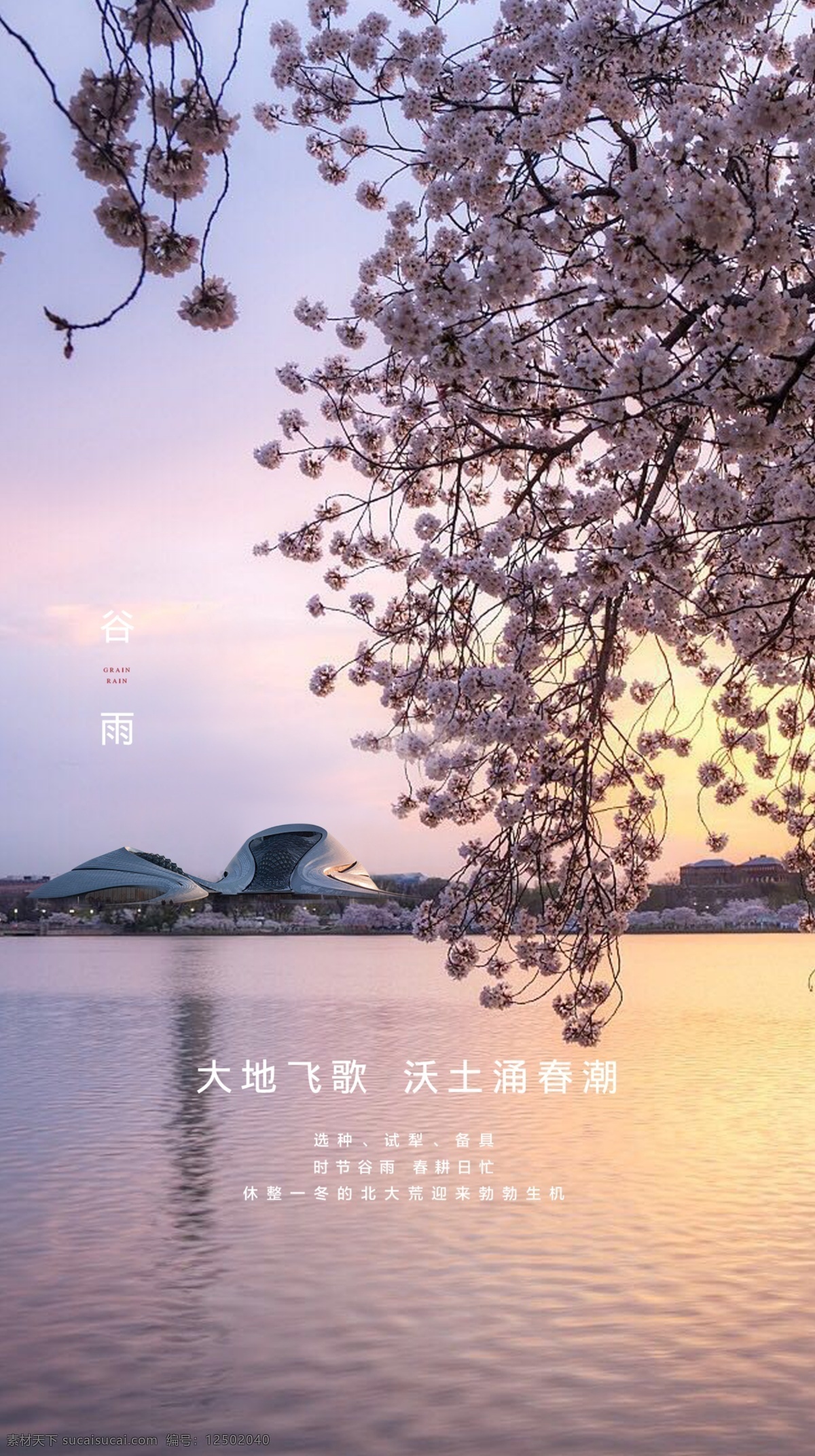 地产春分图片 地产 微信单图 城市 春分 二十四节气 粉色 花 湖畔 哈尔滨 自然景观 春天 传统