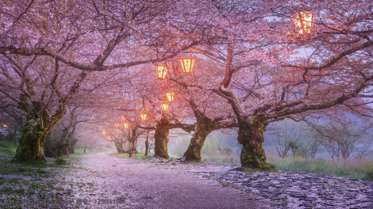 风景图片 风景 桌面壁纸 自然景观 自然风景 壁纸图片 壁纸 山水风景 山水画图片 河流 唯美图片 风景画 风景壁纸 唯美壁纸 唯美素材 背景图片 背景素材 蓝天白云 大自然 高清风景图片 拍摄 生态 绿叶 花 草 植物 植物特写 拍摄素材 蓝天