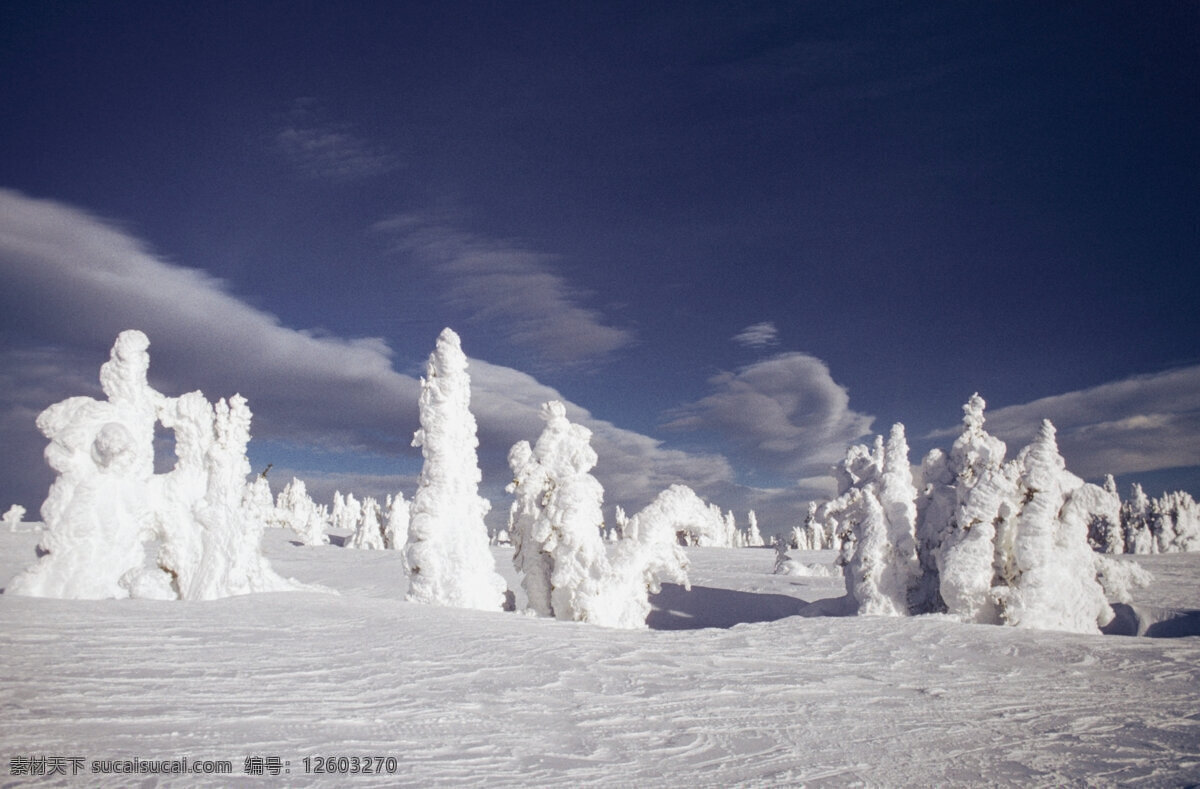 厚 雪 积 成 冰 素材图片 蓝天 白云 湿地 自然风景 自然景观 高清图片 jpg图片 大自然 森林图片 风景图片 风景画 林木风景 美丽风景 雪山 雪地 雪景 山水风景