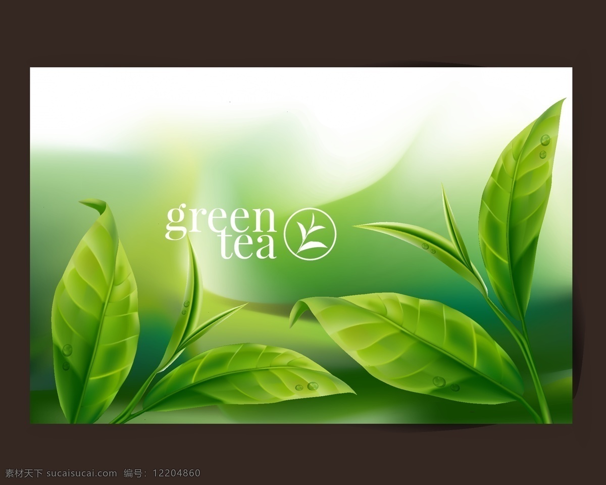 清新 绿色 茶叶 背景 叶子 底纹 植物 朦胧 绿茶