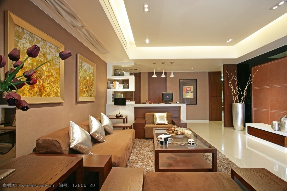 客厅效果图 室内设计 建瓯设计 客厅 3dmax 设计作品 建筑设计 环境设计 棕色