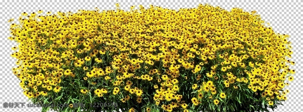 免扣花卉素材 生物世界 花草 玫瑰花 玫瑰花图片 玫瑰花壁纸 玫瑰花素材 玫瑰 素材图片 红玫瑰 月季花 鲜花 鲜花图片 鲜花素材 花朵 创意图片 花瓣 情人节 花 花卉 花蕊 爱情图片 爱情 植物 绿色植物 植物图片 透明背景 免扣图 风景