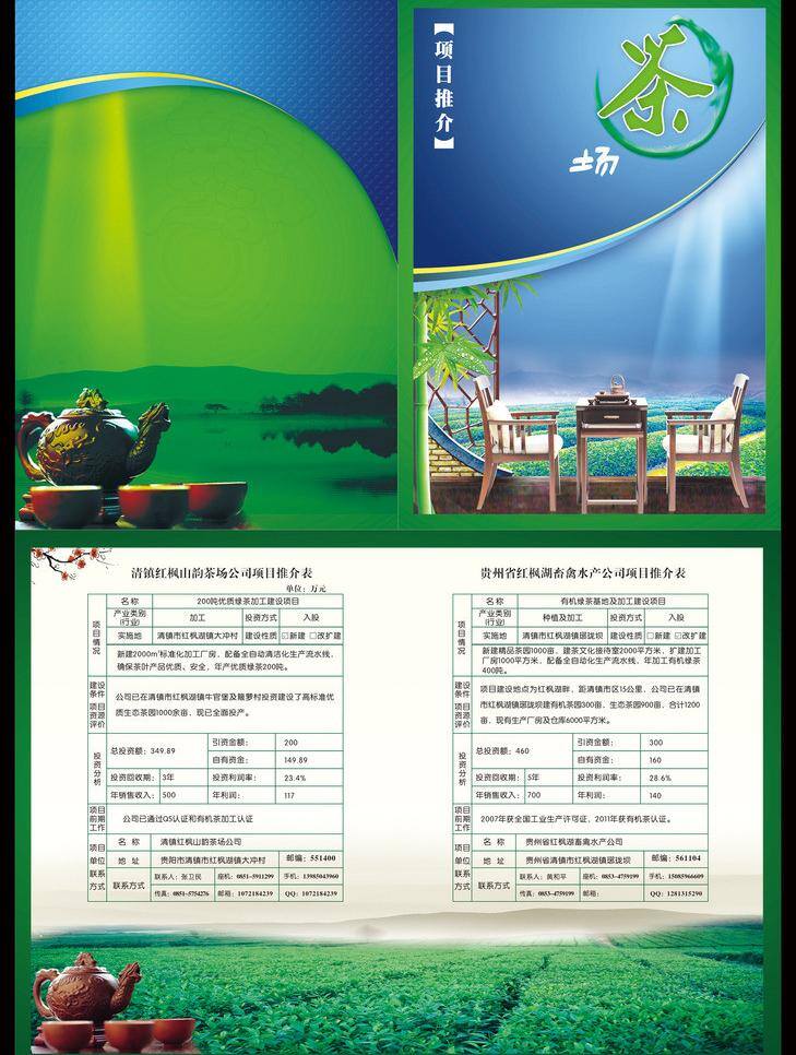 dm宣传单 推介 茶场 项目推介 矢量 模板下载 茶场项目推介 茶场简介 水场公司推荐