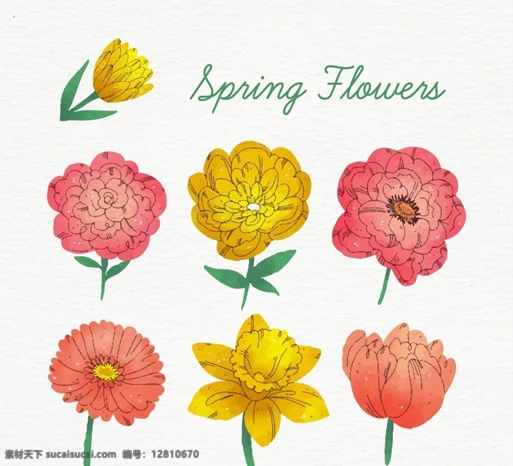 彩绘 春季 花朵 菊花 花卉 源文件 矢量 高清图片