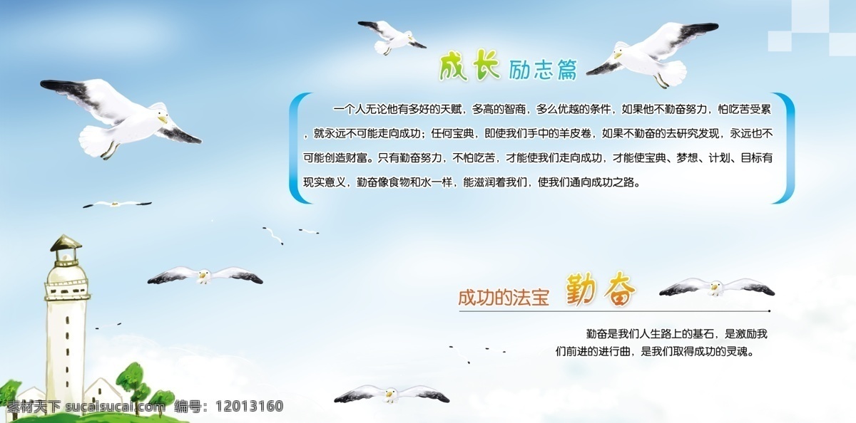 成长 励志 篇 广告设计模板 海鸥 校园 校园展板 学校 源文件 展板 成长励志篇 展板模板 其他展板设计