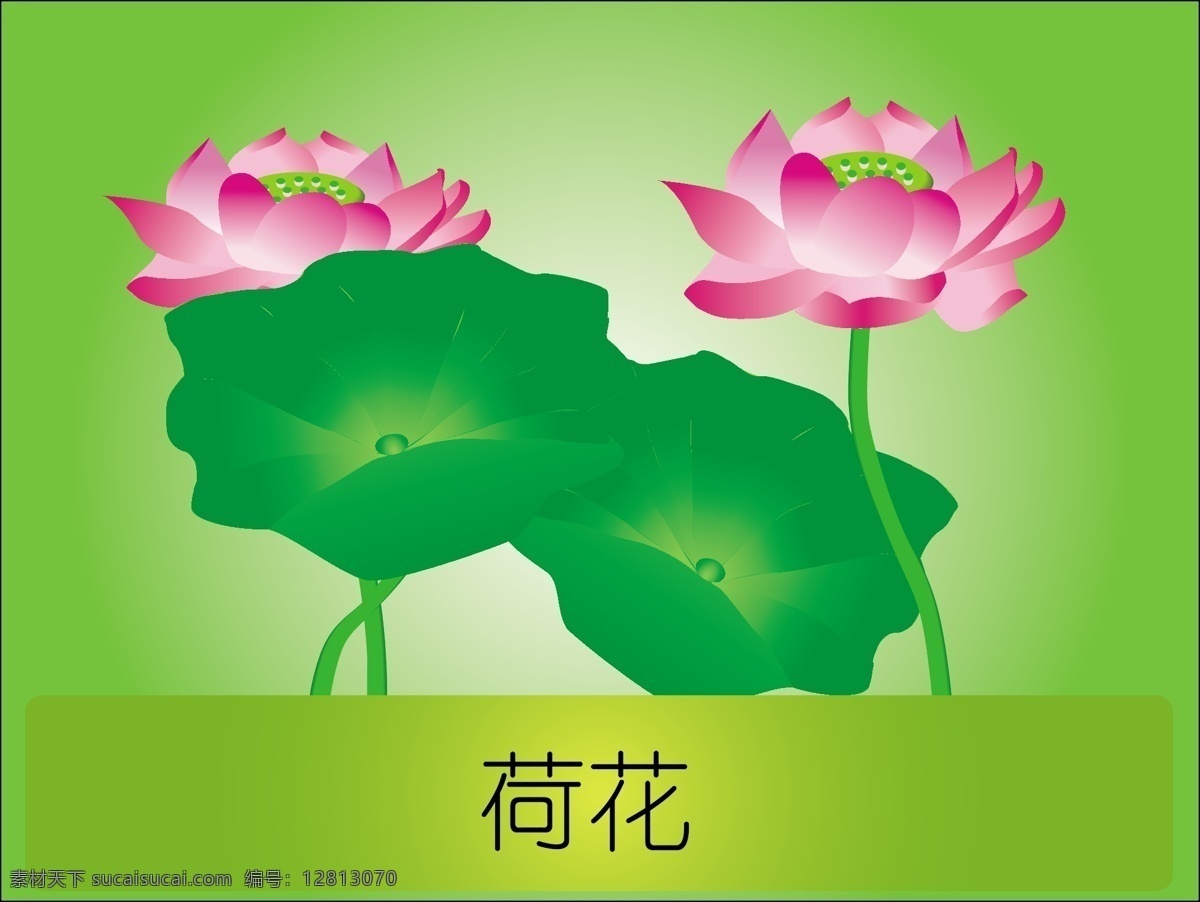 荷花 荷花模板下载 荷花矢量素材 荷叶 花草 莲子 生物世界 鱼塘 矢量 矢量图 其他矢量图