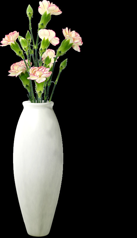 美丽 花瓶 分层 花 瓶子 鲜花