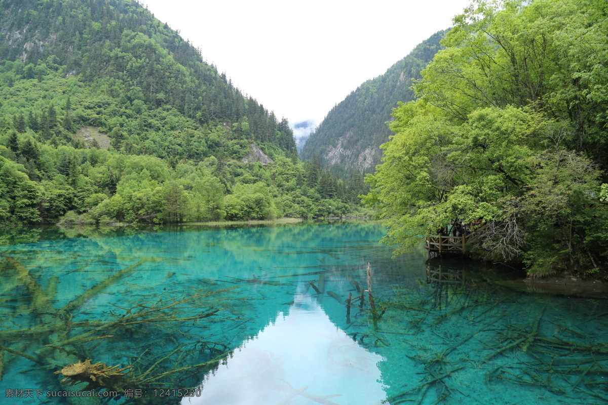 四川九寨沟 九寨沟 九寨沟风光 山水 山水风光 九寨沟风景 森林 树木 花草 草地 秋天的九寨沟 九寨沟景色 九寨沟瀑布 溪水 芳草海 九寨沟芳草海 九寨沟山水 长海 九寨沟旅游 自然风光 雪山 九寨沟雪山 沃洛色莫 雪山的水 四川风景 四川景点 自然景观 风景名胜