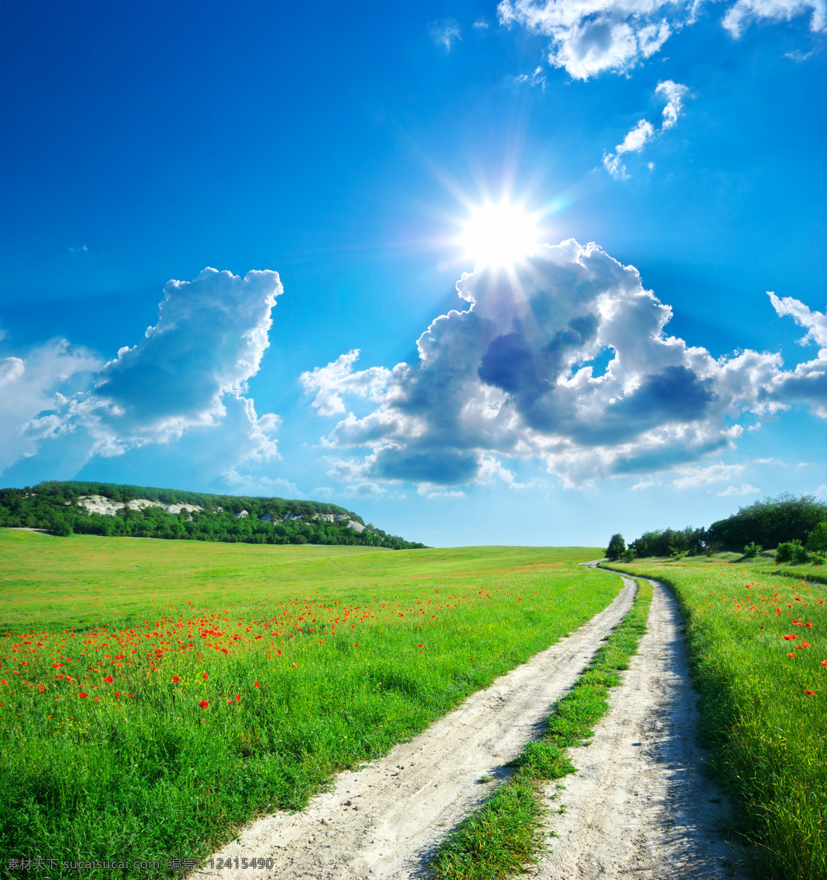 通往 美好 未来 小路 郊外 迷人 风景 夺目的阳光 芬芳的花朵 青绿 草地 湛蓝 天空 天空图片 风景图片