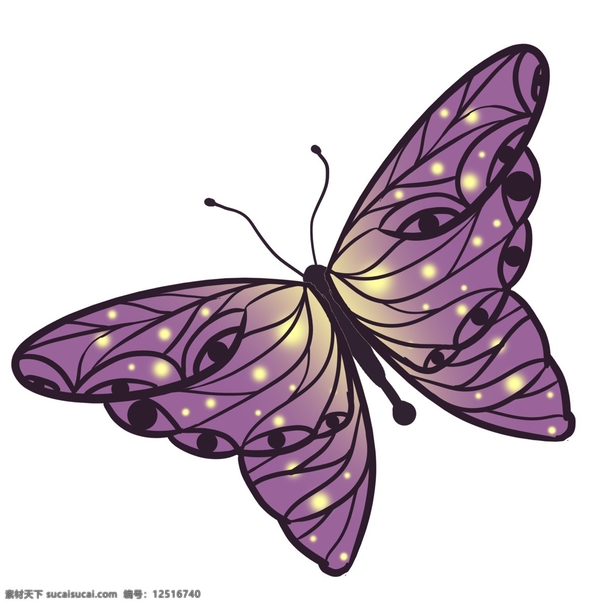 紫黄色蝴蝶 紫色 黄色 蝴蝶 花纹 梦幻 美丽