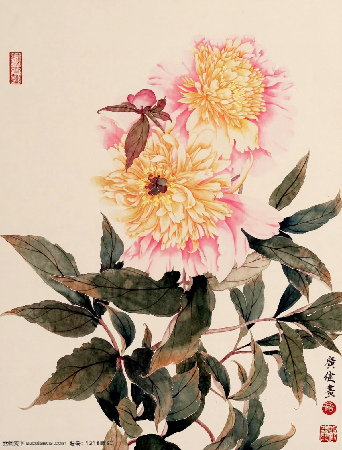 花卉国画 国画 贾广健 牡丹 花开富贵 花卉 绘画书法 文化艺术