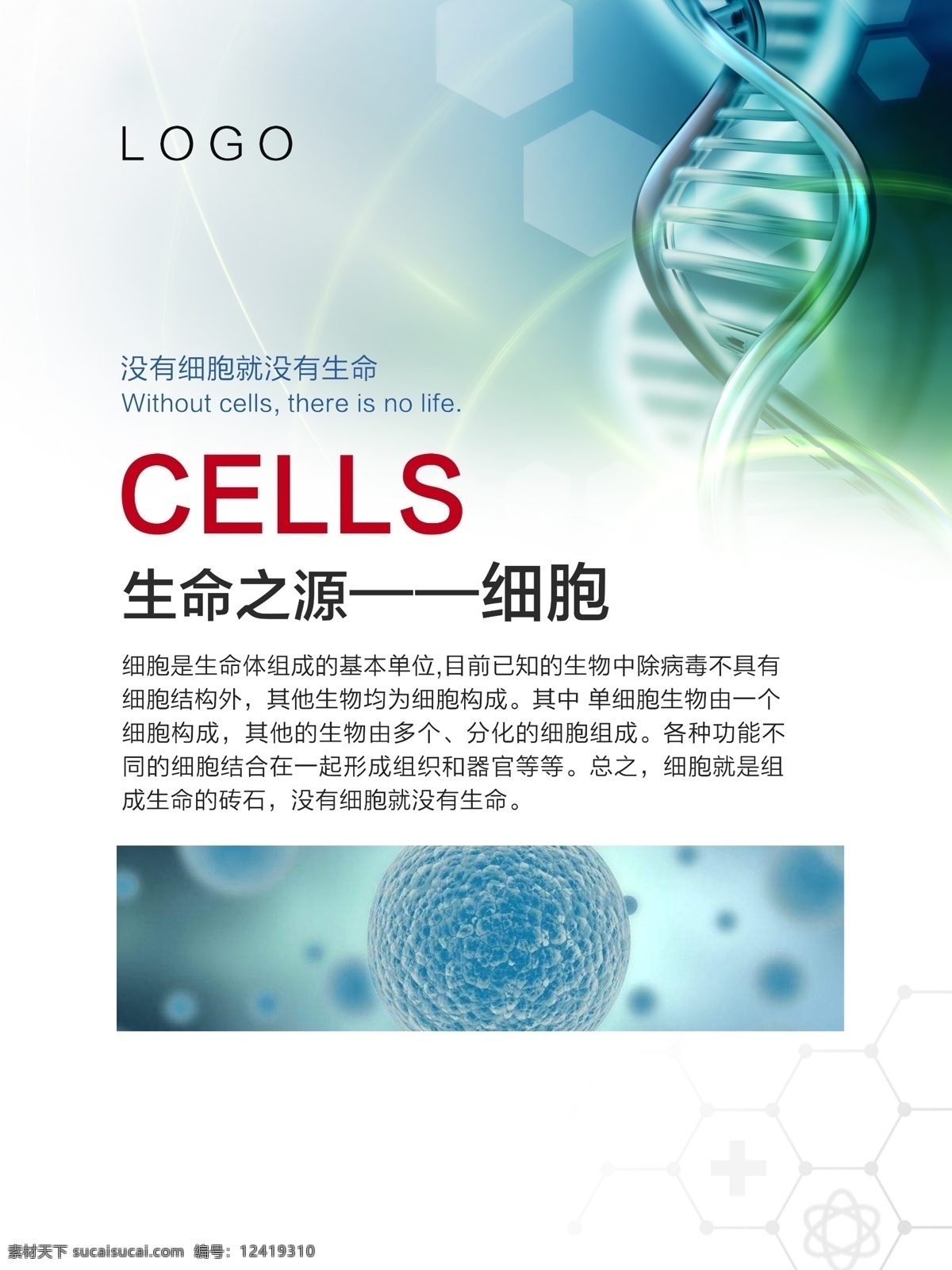 生命 干细胞 海报 健康 细胞健康
