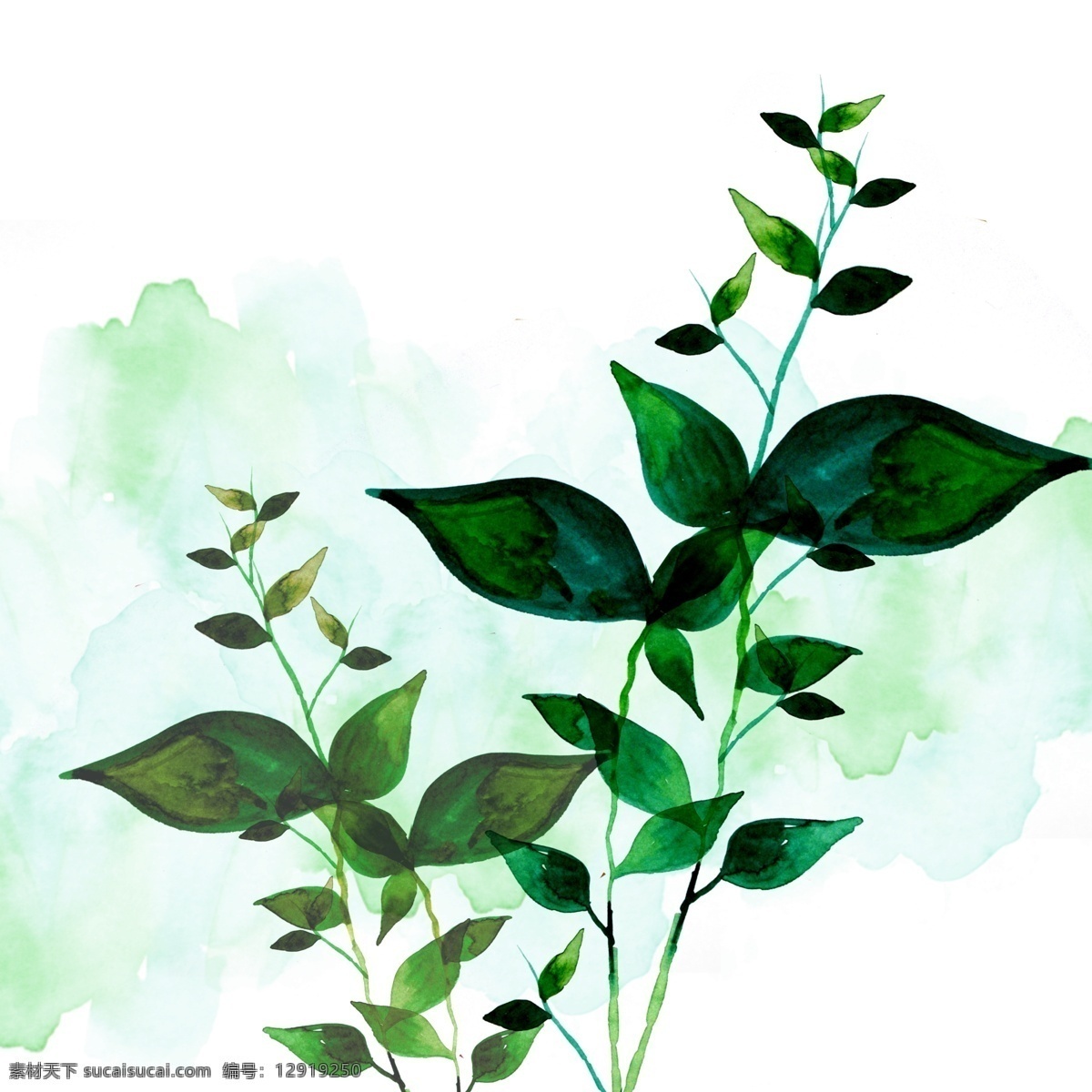 性冷淡 风水 彩 绿叶 渲染 背景 图 简约 大气 绿色水彩植物 小清新 水彩渲染