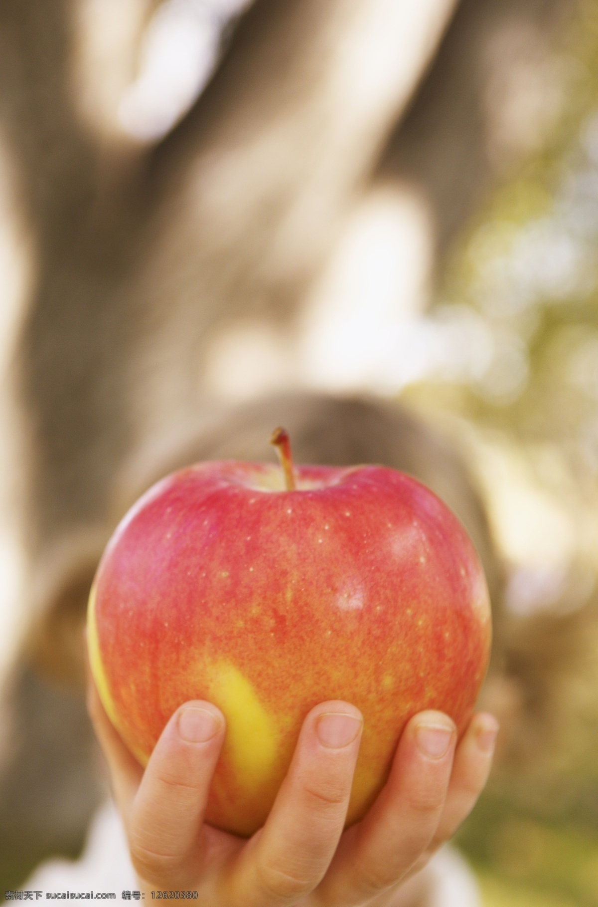 苹果 小手 草地 苹果摄影 苹果素材 水果 儿童 儿童摄影 小孩 手势 苹果图片 餐饮美食