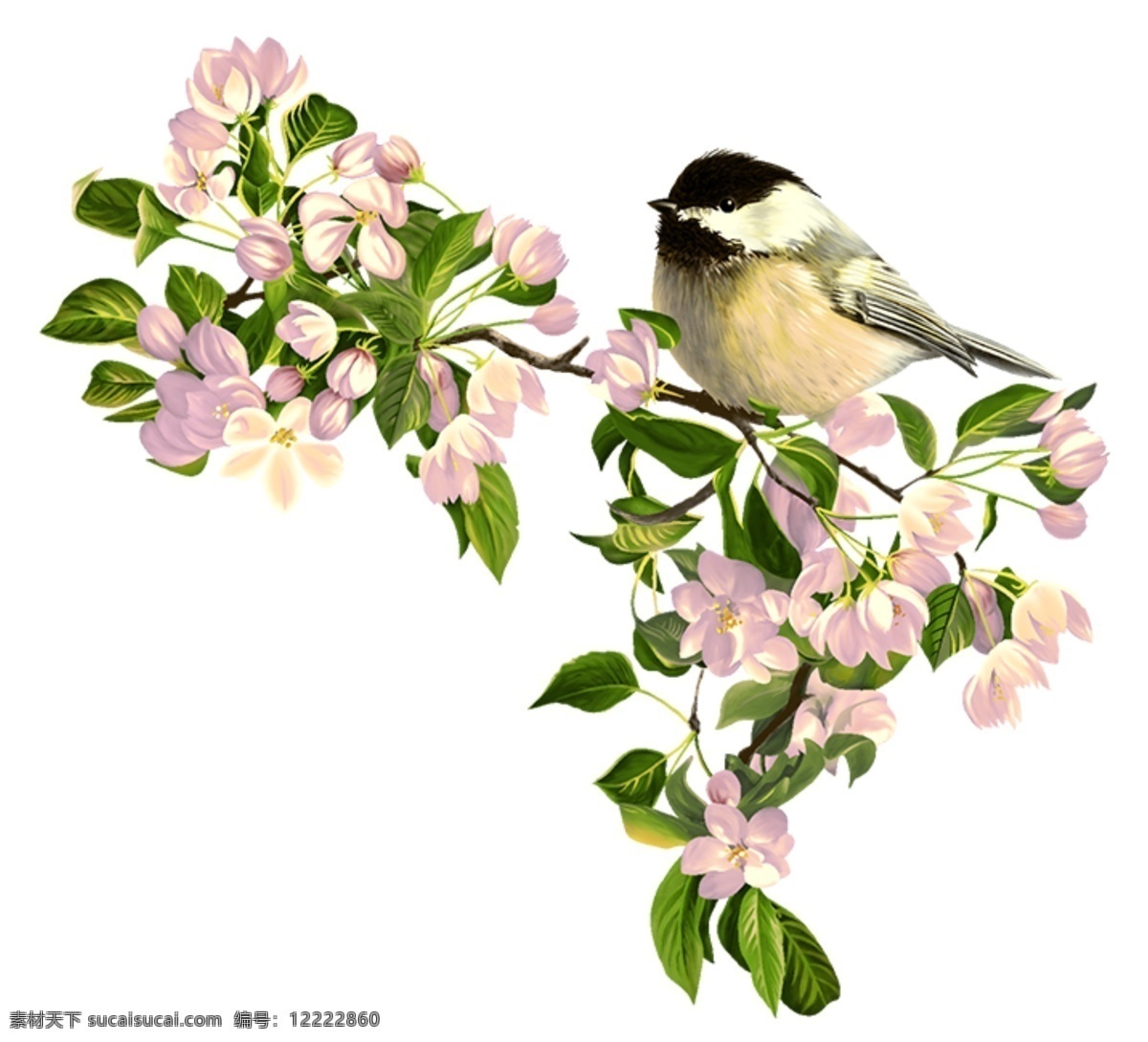 漂亮 手绘 小鸟 插画 手绘素材 春天 底纹 鸟 墙纸 墙纸素材 花鸟图 粉色小花