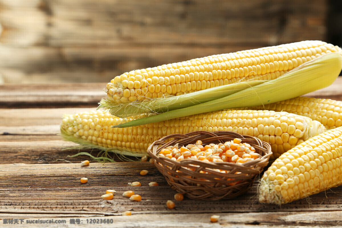 唯美玉米 唯美 食物 食品 美食 美味 营养 健康 原生油 玉米 原料 食物原材料 餐饮美食 食物原料
