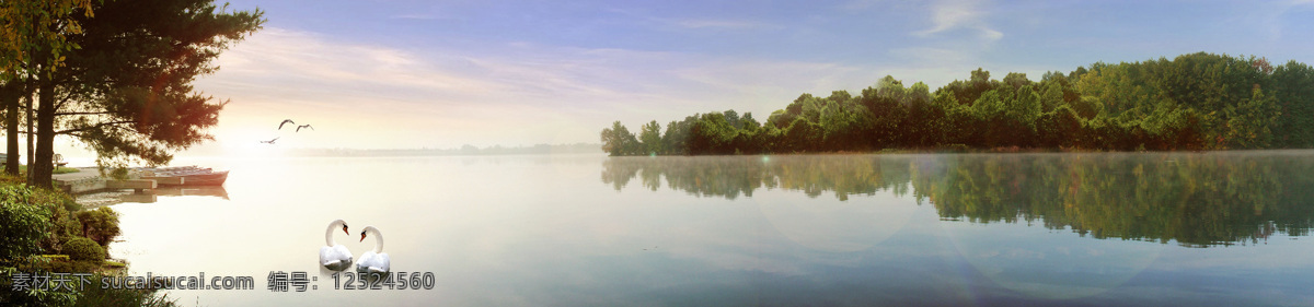 湖边水景 湖边 天鹅 唯美 原生态 湖畔 河边 景致 园林 水景 房地产景观 自然风景 山水湖畔 自然景观