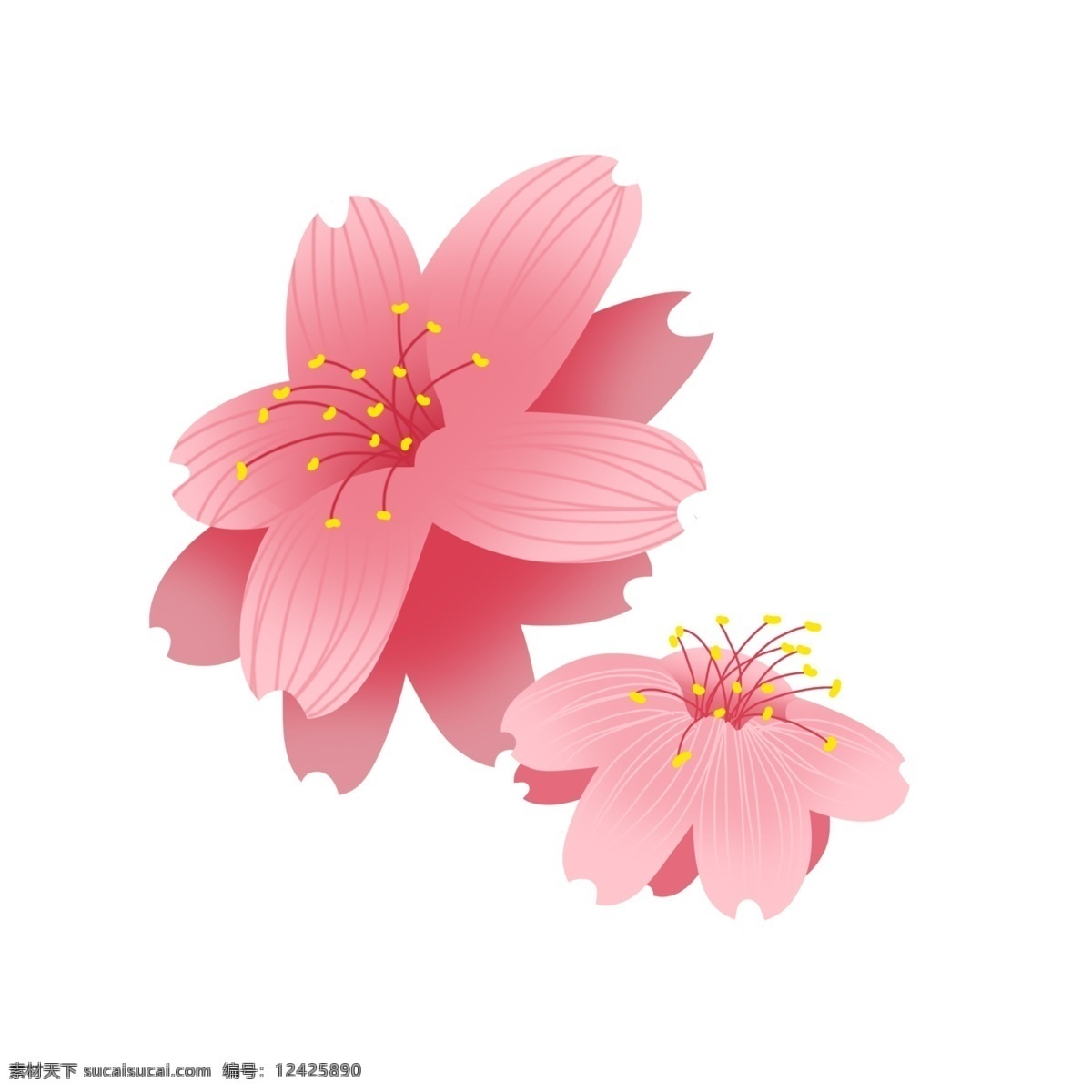 美丽 樱花 卡通 插画 美丽的樱花 卡通插画 樱花插画 花朵插画 鲜花 花瓣 花束 好看的樱花