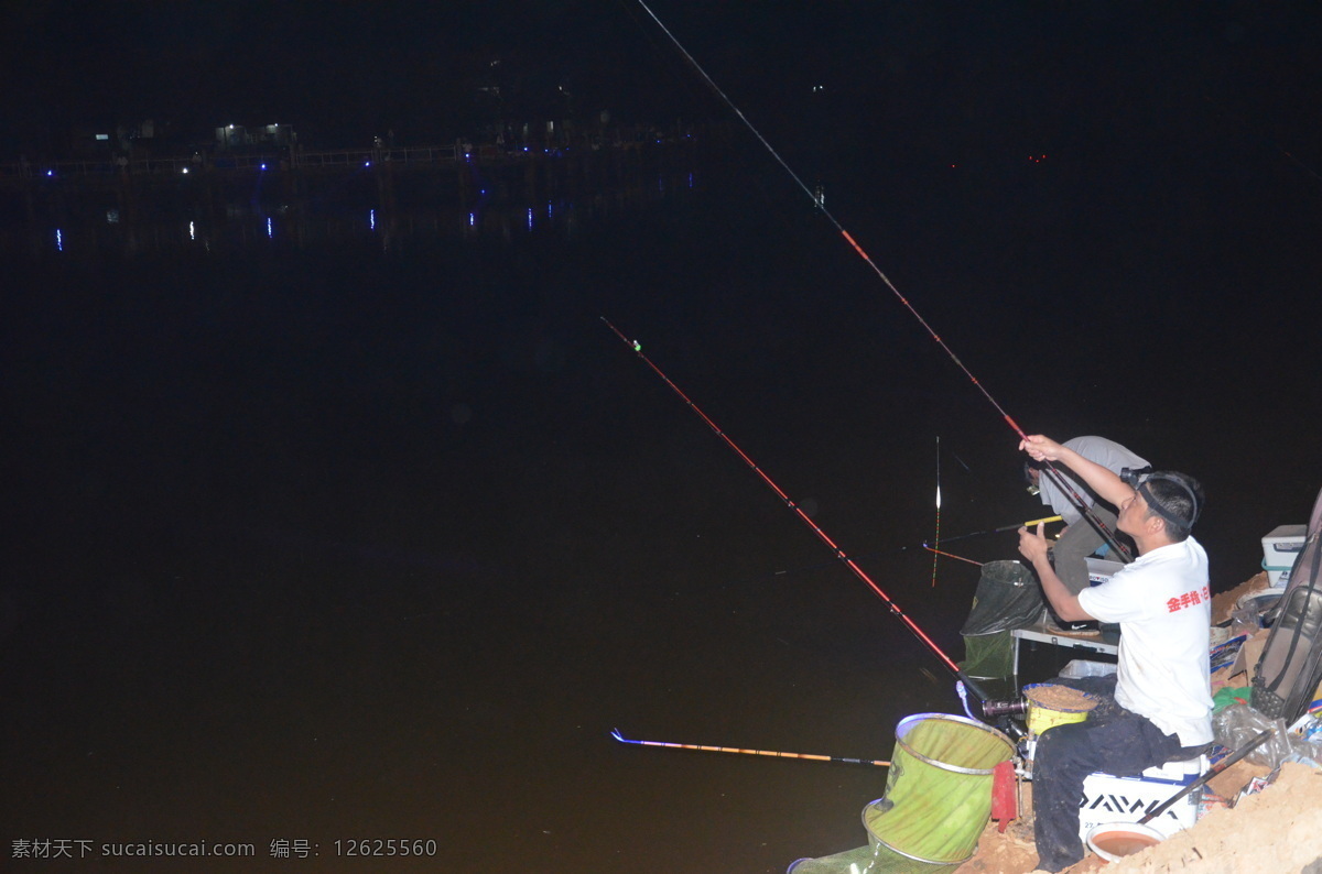 湖边钓鱼 夜钓 垂钓 钓鱼 钓友 生物世界 鱼类