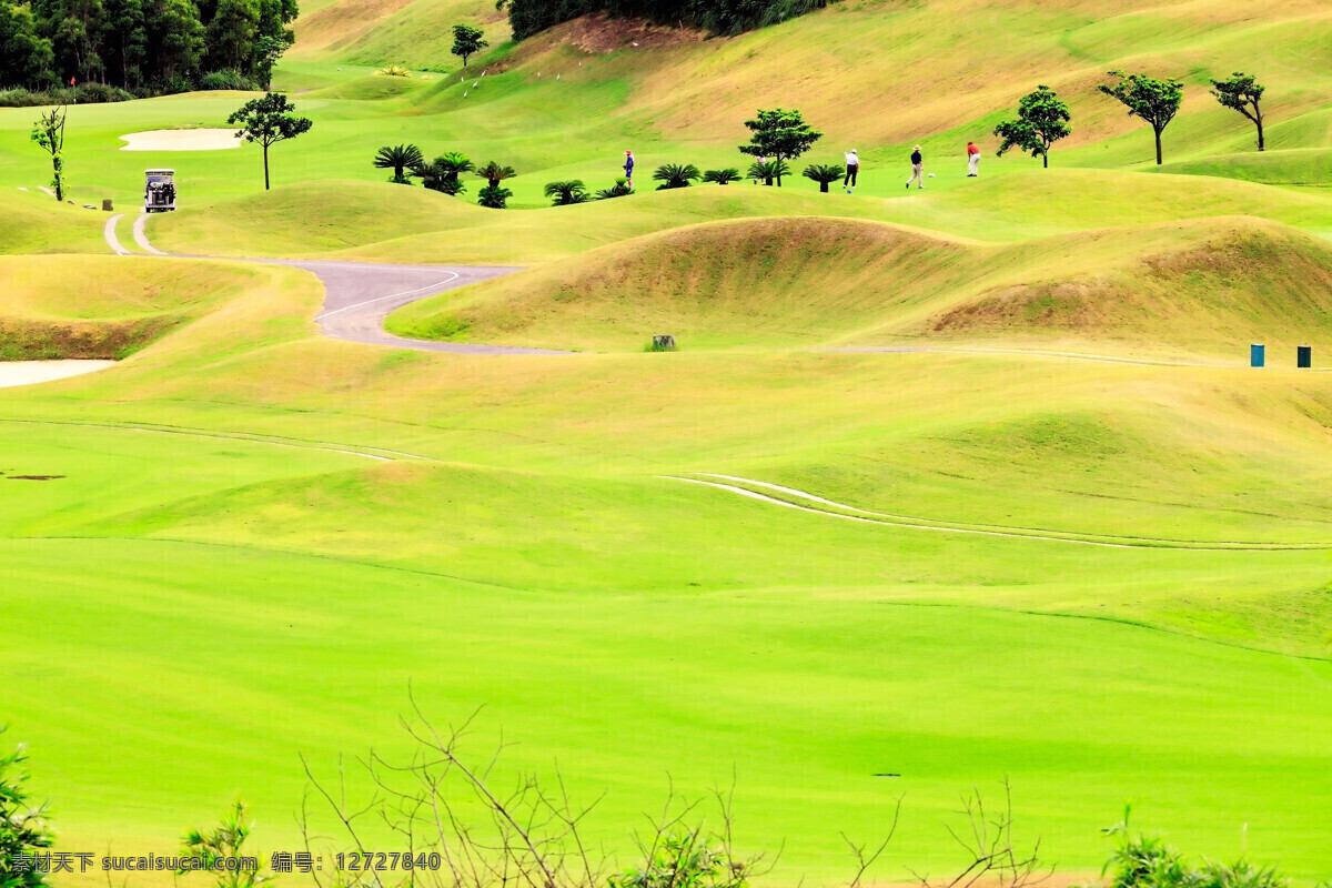美丽 高尔夫球场 草坪 草地 绿地 美丽风景 高尔夫俱乐部 自然风景 自然景观 黄色