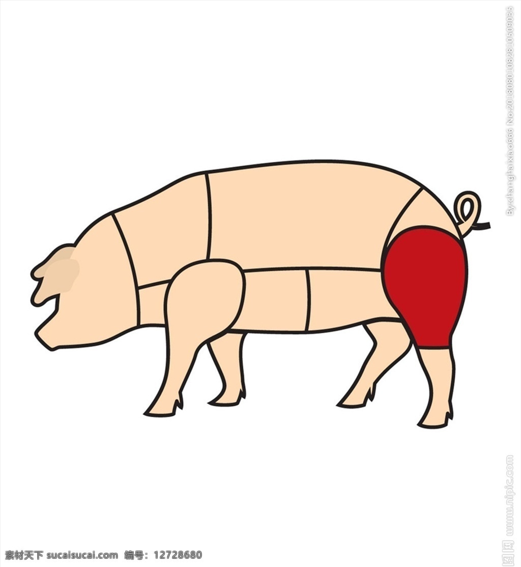 猪肉分解图 猪肉 分解图 矢量猪 猪心 猪肝 食品 生物世界 家禽家畜