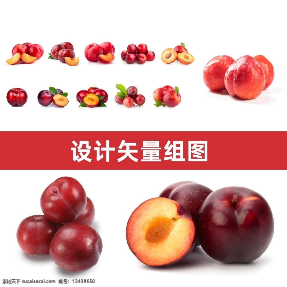 水果大全图片 – 搜图网 – Tsukaiend