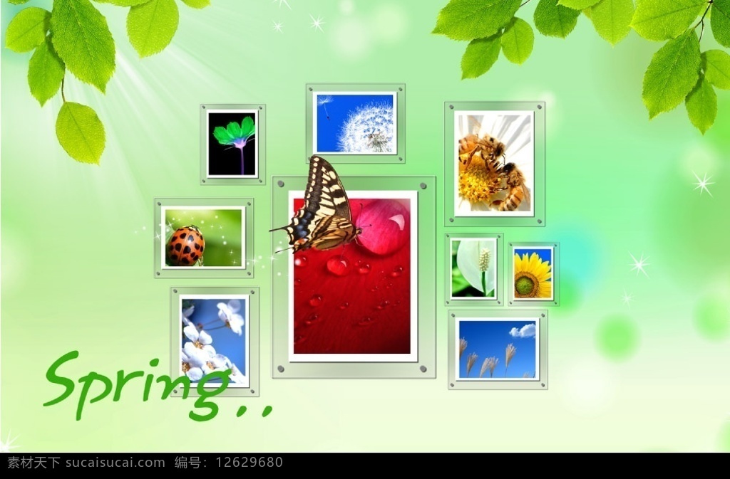 绿荫中的相片 相片 相框 背景 花边 蝴蝶 光芒 韩国模板 高清 自然 春天 源文件库