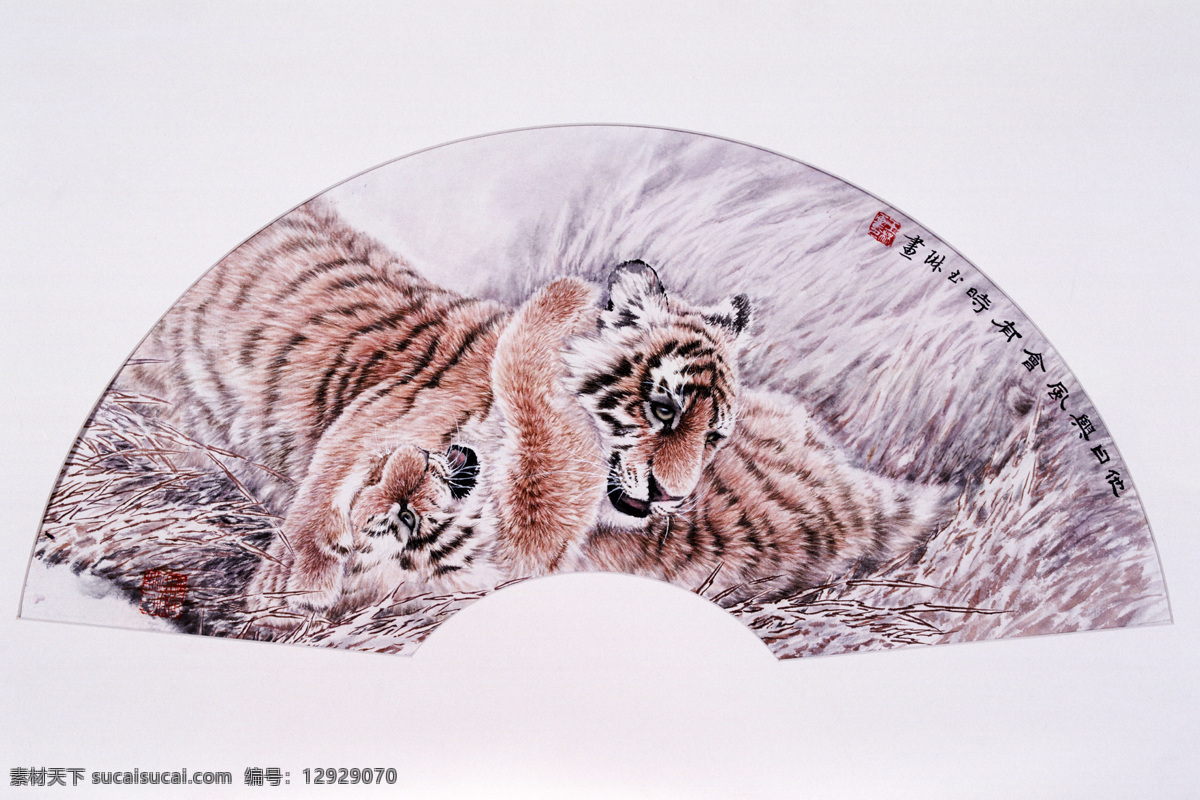 虎虎生威 扇面画 设计素材 肉食动物 动物插图 书画美术 白色
