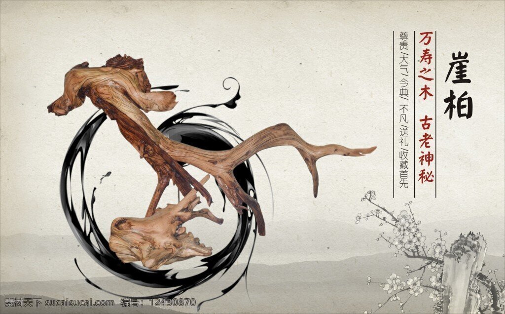 崖柏 珍藏 艺术 中国 风 艺术品 展示 白色