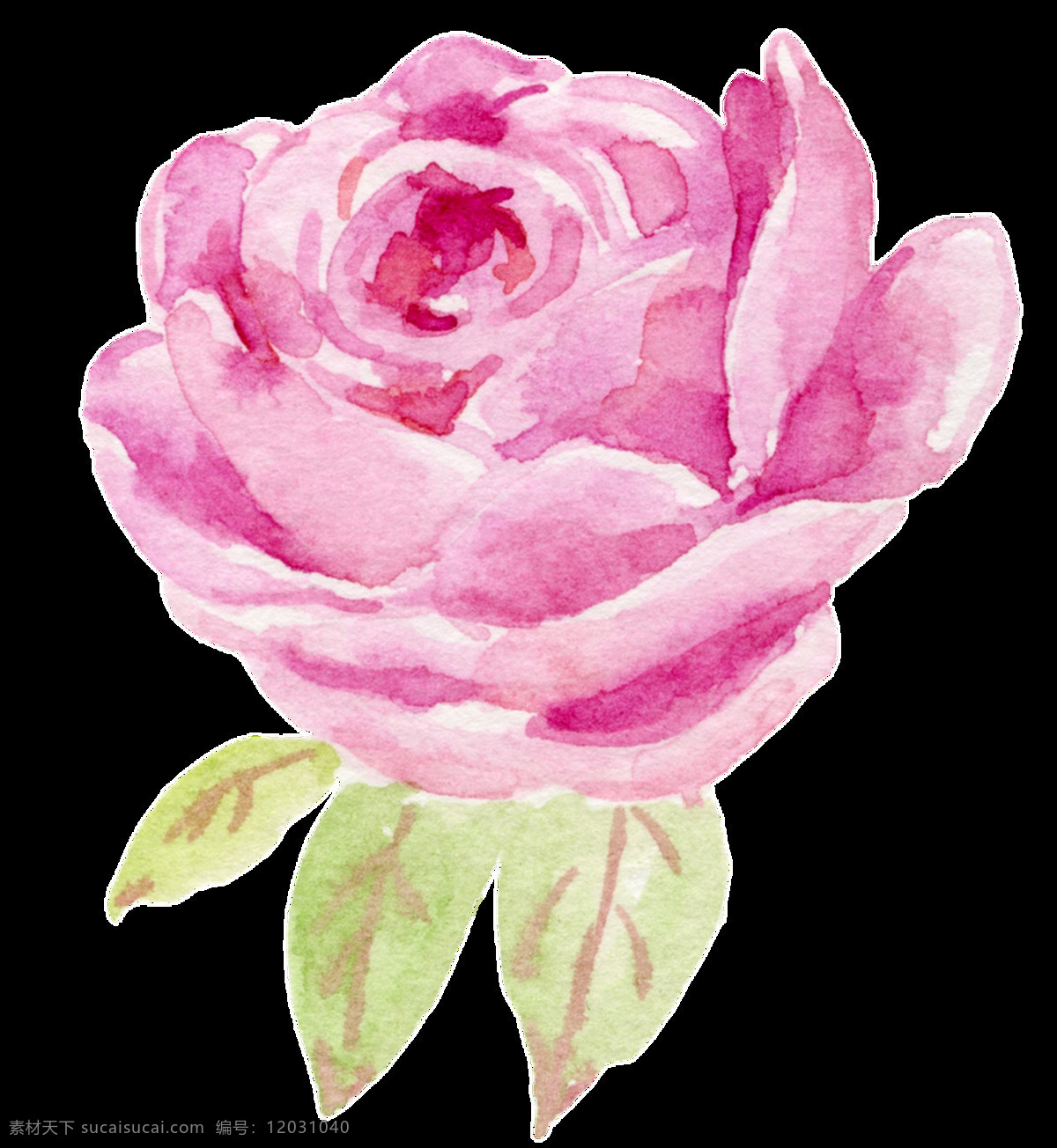 娇嫩 粉色 花卉 透明 装饰 海报设计装饰 卡通 免扣 设计素材 水彩 淘宝素材 透明素材 装饰图案