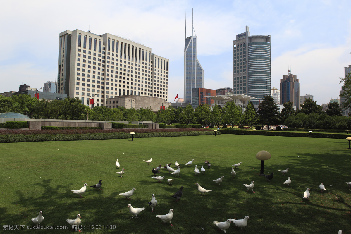 风景 高楼大厦 鸽子 国内旅游 建筑 旅游摄影 人文景观 上海风光 上海景色 人民广场 大都市风光 摄影图库 生活 旅游餐饮