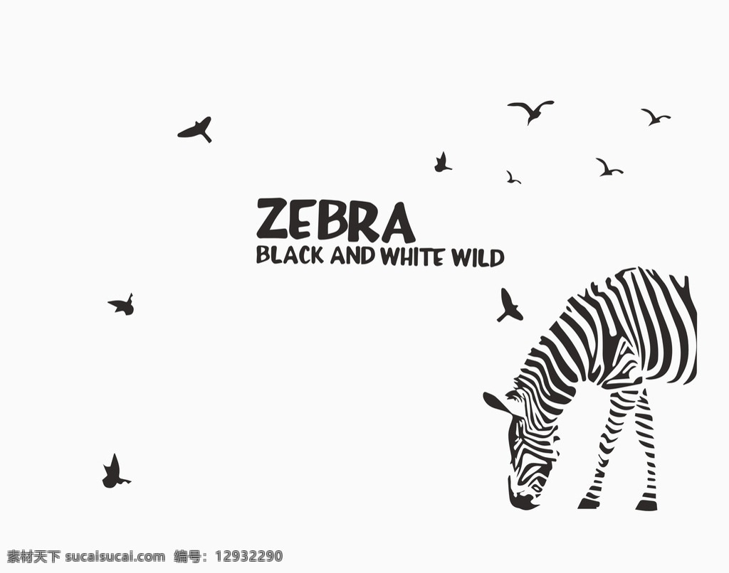 斑马 zebra 黑白装饰画 简约 线条 现代 飞鸟 动漫动画 风景漫画