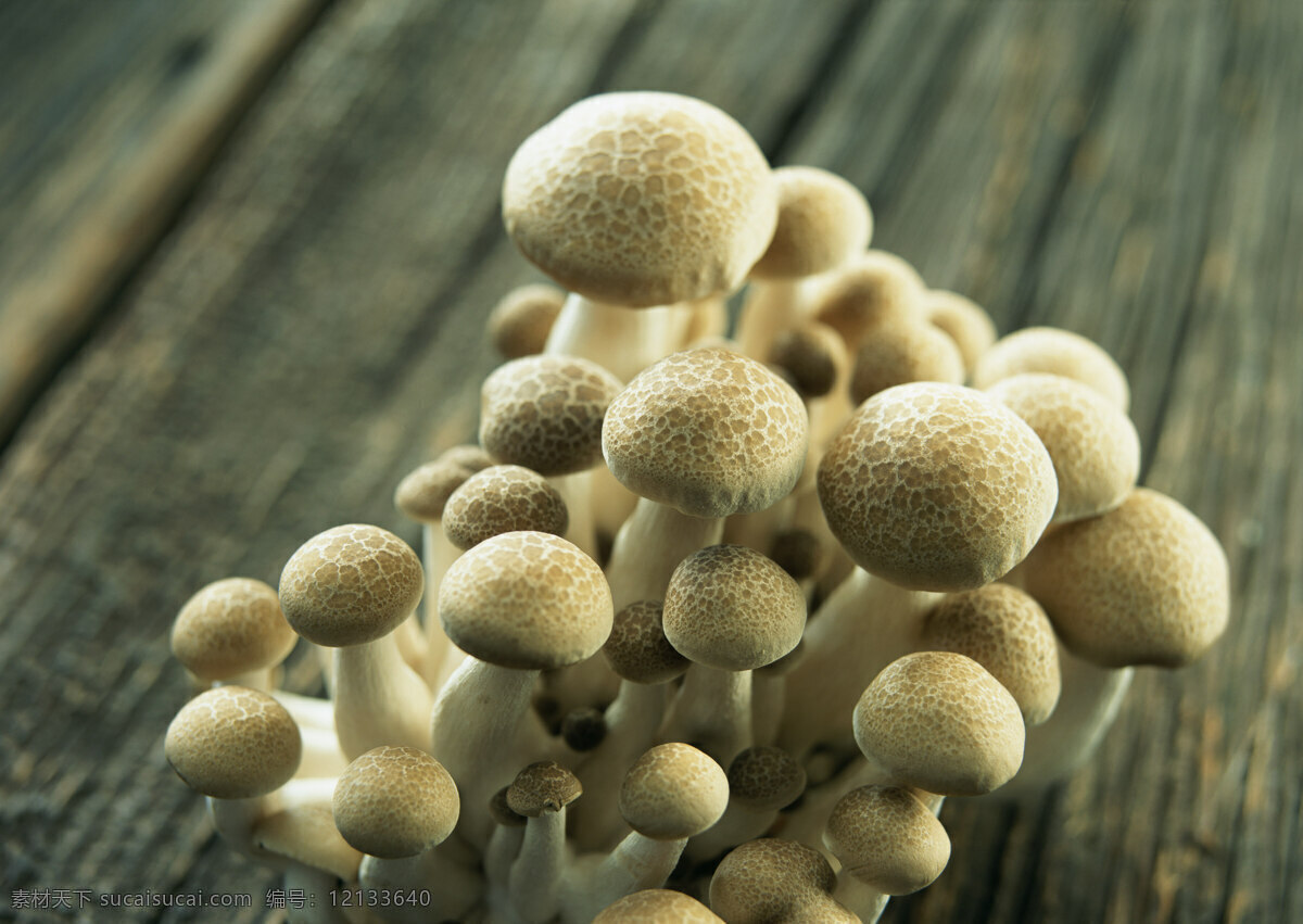 新鲜 蘑菇 新鲜蔬菜 菌 农作物 绿色食品 摄影图 高清图片 蘑菇图片 餐饮美食