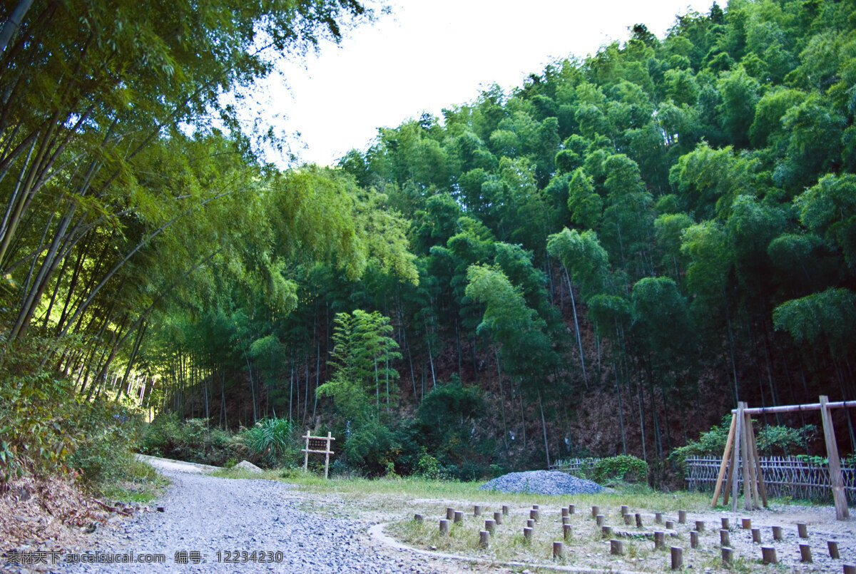 木 坑 竹海 蓝天白云 绿树 生物世界 树木树叶 竹林 木坑竹海 安徽旅游 矢量图 日常生活