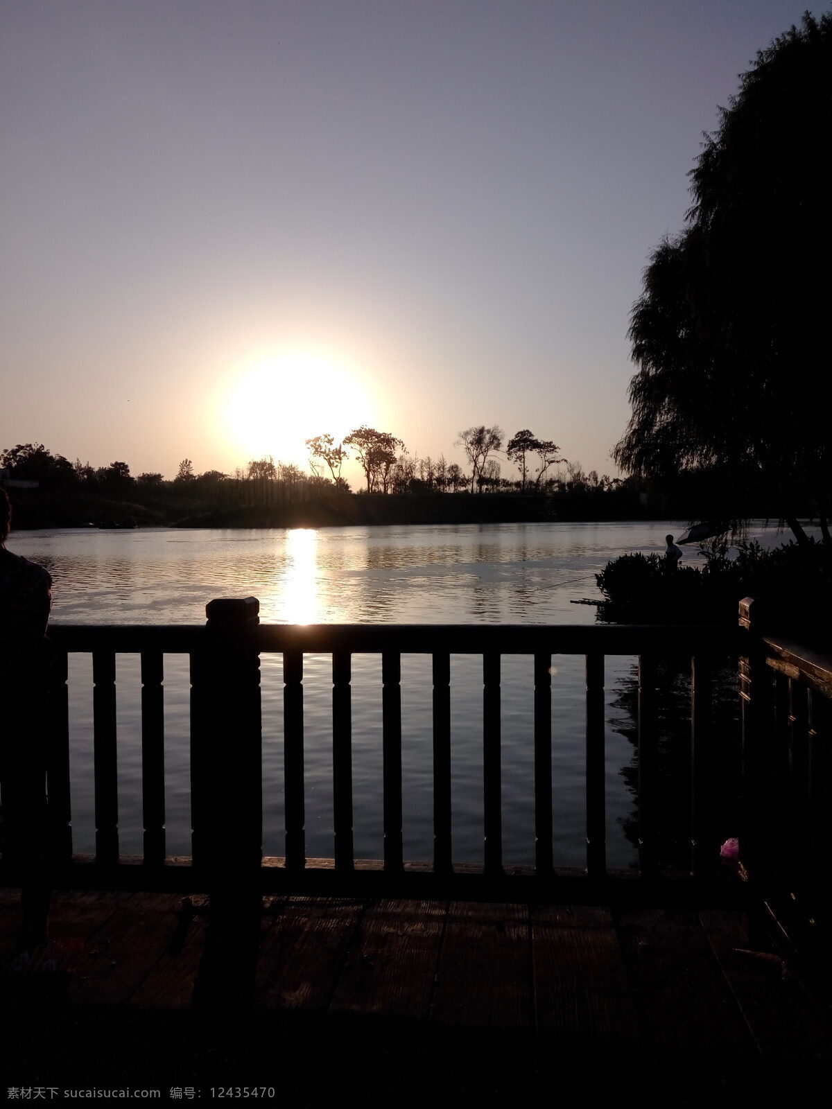 夕阳 落日 唯美 晚霞 湿地公园 景点 波光粼粼 树影