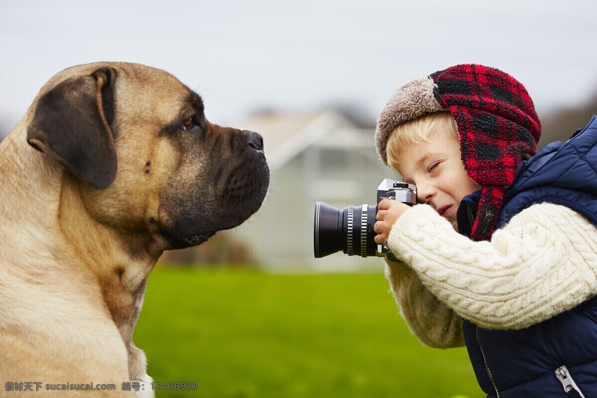 宠物狗 拍照 小 男孩 儿童幼儿 外国儿童 小男孩 相机 儿童图片 人物图片