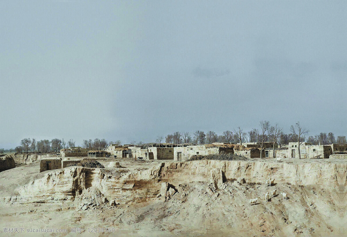 长日 美术 油画 黄土地 乡村 房屋 羊群 树木 村景 油画艺术 绘画书法 文化艺术