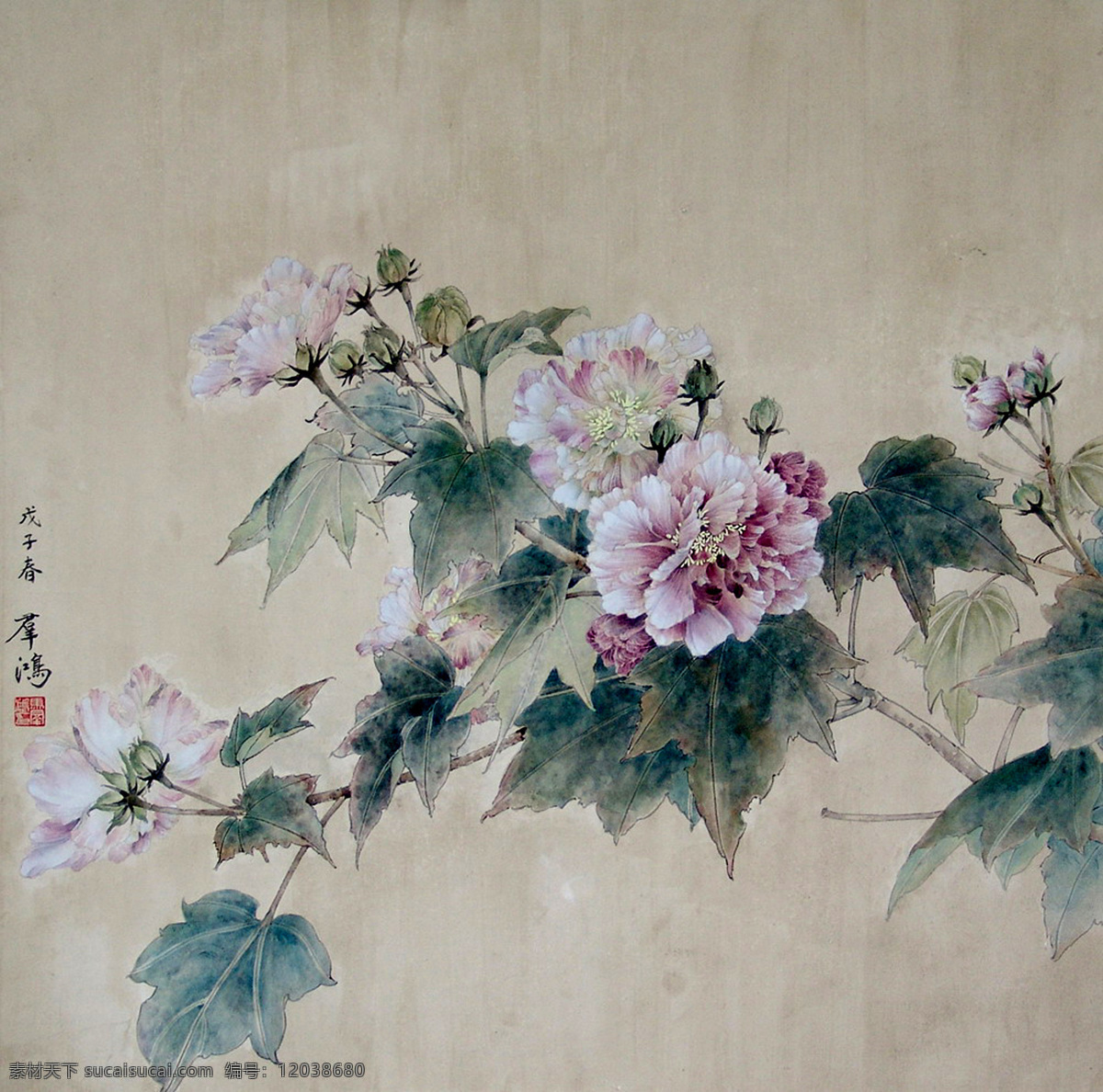 花卉写生 白花 绿叶 花苞 古典 国画 马群鸿 工笔 花鸟 绘画书法 文化艺术