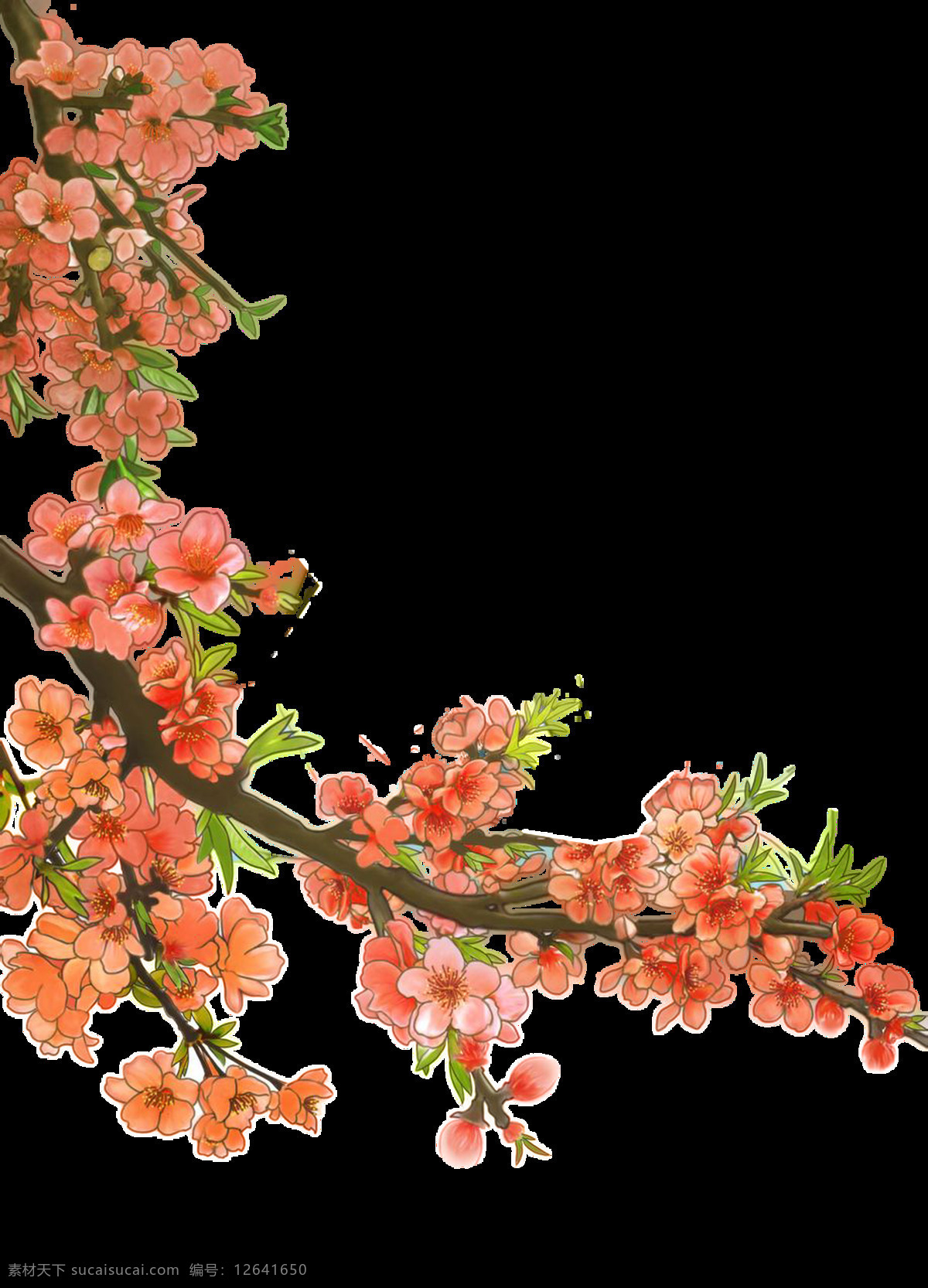 美丽 茂盛 梅花 树枝 透明 红色 花朵 绿叶 免扣素材 透明素材 植物 装饰图片
