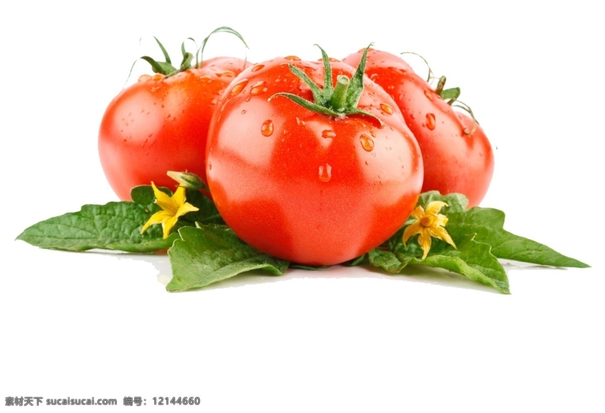 番茄素材 免抠 psd素材 白色