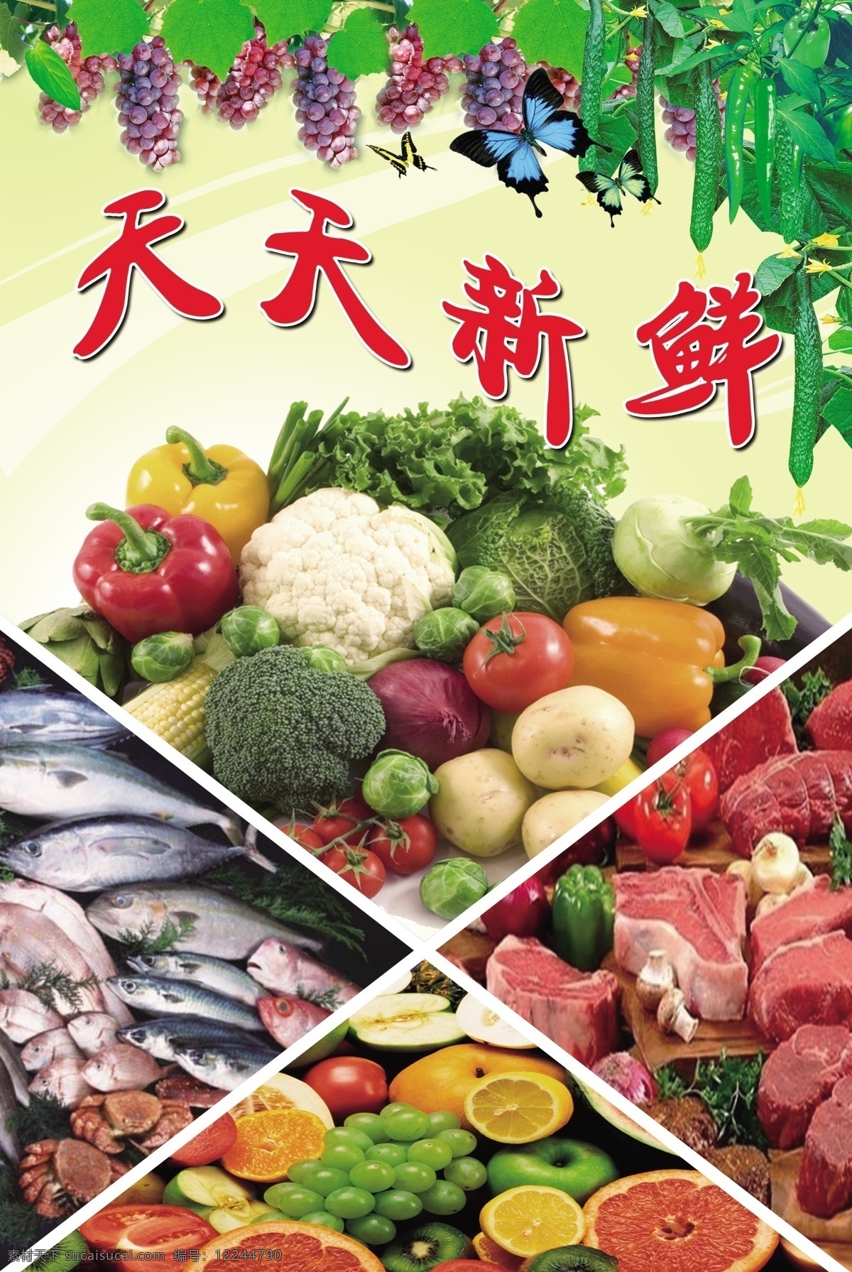 新鲜果蔬 水果 蔬菜 肉类 海鲜 水产 海产品 鱼类 黄瓜 葡萄 生鲜 超市 食材 天天新鲜 新鲜 果蔬 鲜艳 食品区