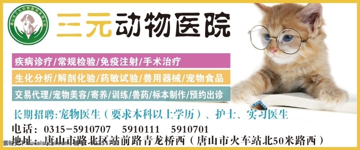 宠物猫 宠物医院 广告设计模板 可爱小猫 猫咪 动物医院 小猫 戴眼镜小猫 宠物医院宣传 源文件 宣传海报 宣传单 彩页 dm