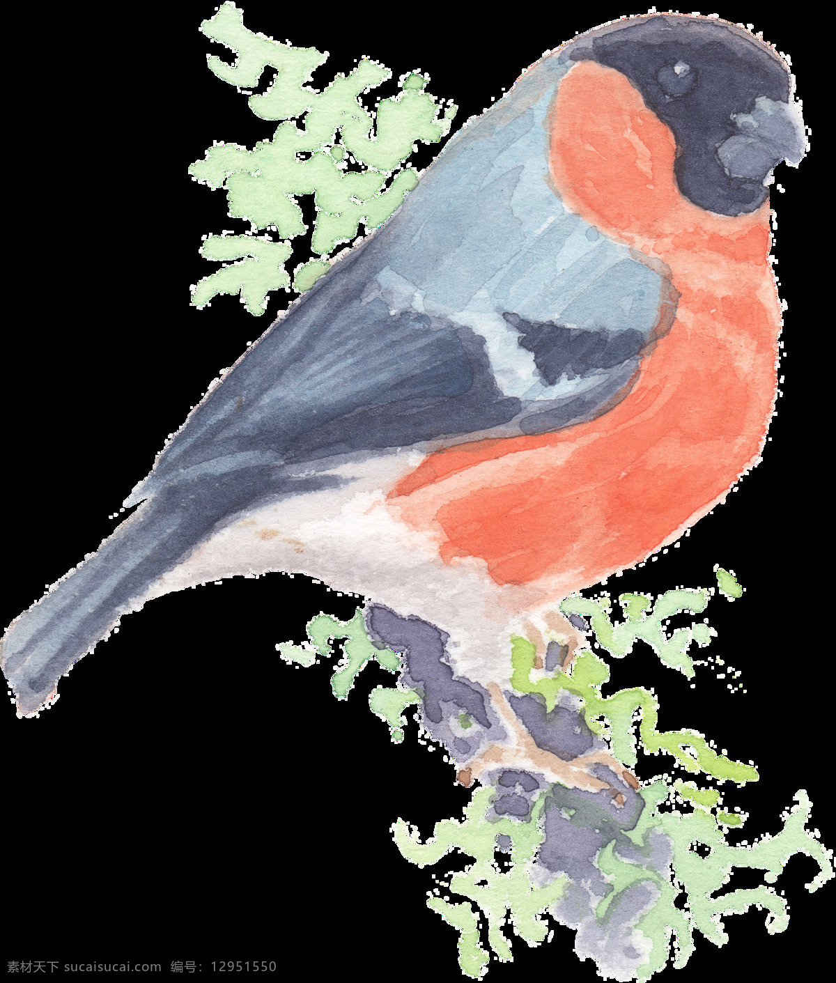 手绘 黑 红色 站 树干 上 小鸟 水彩 透明 动物 绿色 免扣素材 鸟类 树枝 透明素材 装饰图片