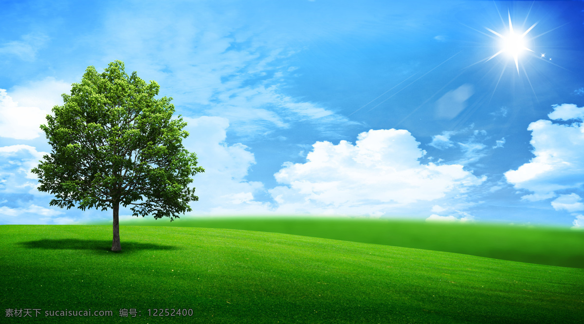 蓝天 下 绿树 草地 树木 山水风景 风景图片
