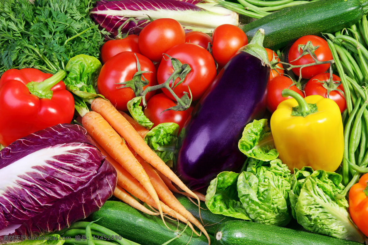 新鲜蔬菜 新鲜 蔬菜 青菜 西红柿 辣椒 红萝卜 白菜 黄瓜 豆角 灯笼椒 生物世界 高清图片 高清
