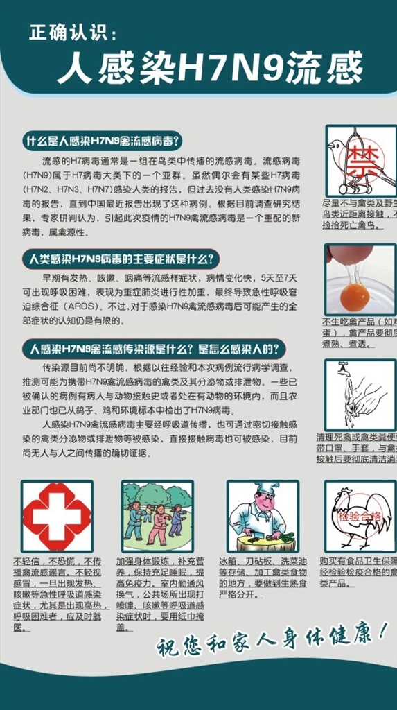 h7n9 禽流感 防控 知识 防控知识 禽流感防控 传染病预防 宣传海报
