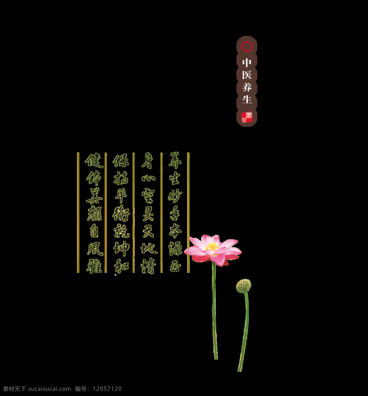 中医养生 美容 中国 风 艺术 字 排版 字体 古典 荷花 艺术字 海报 广告 中国风 古风 元素